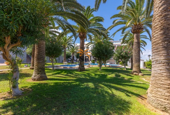 Apartment · Resale - La Mata · Alicante · Spain