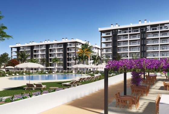 Attique · Nouvelle construction - Torrevieja · Alicante · Espagne