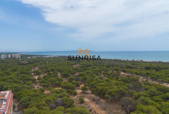Apartamento · Reventa - Guardamar del Segura · Guardamar Centro · Alicante · España