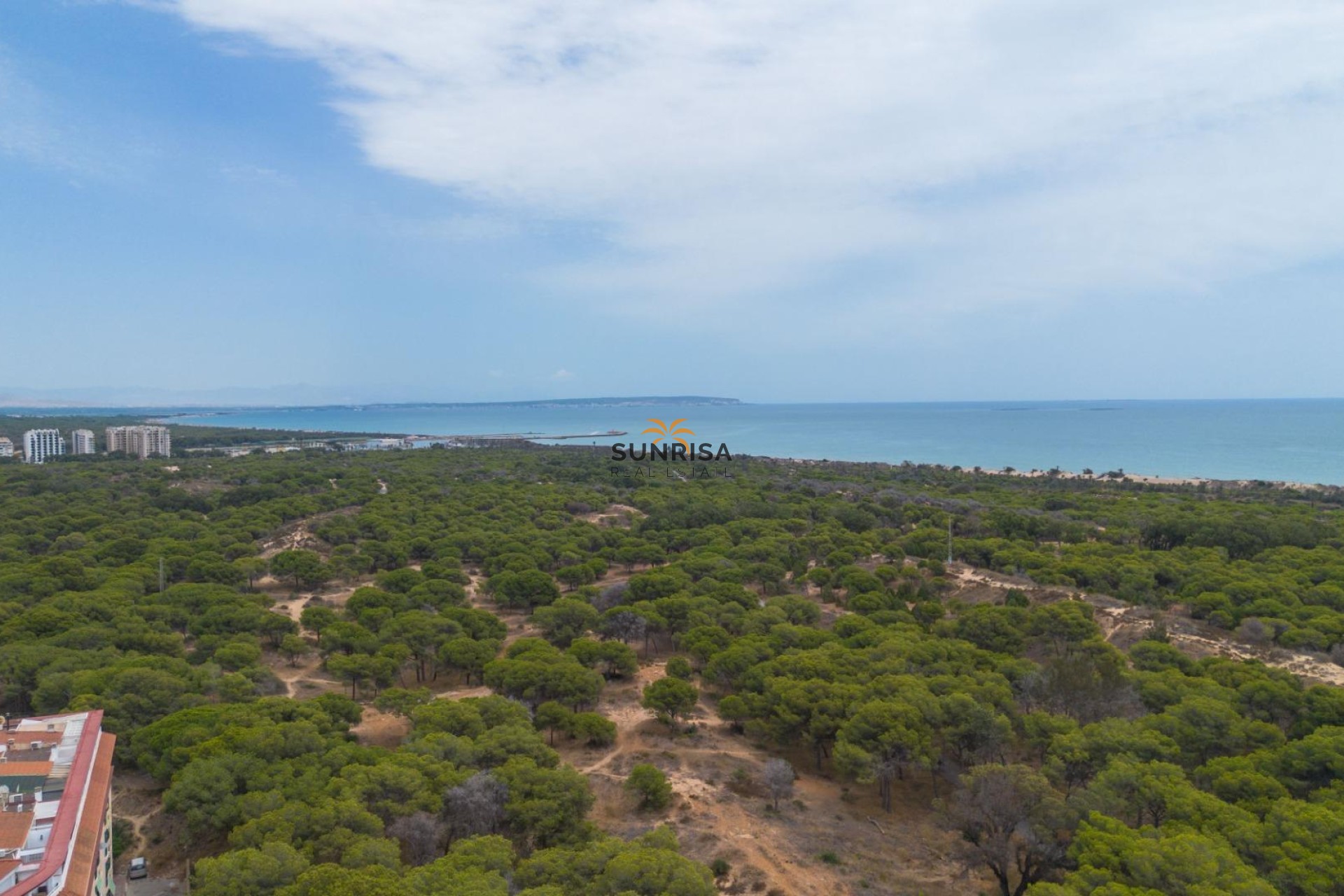 Revente - Appartement - Guardamar del Segura