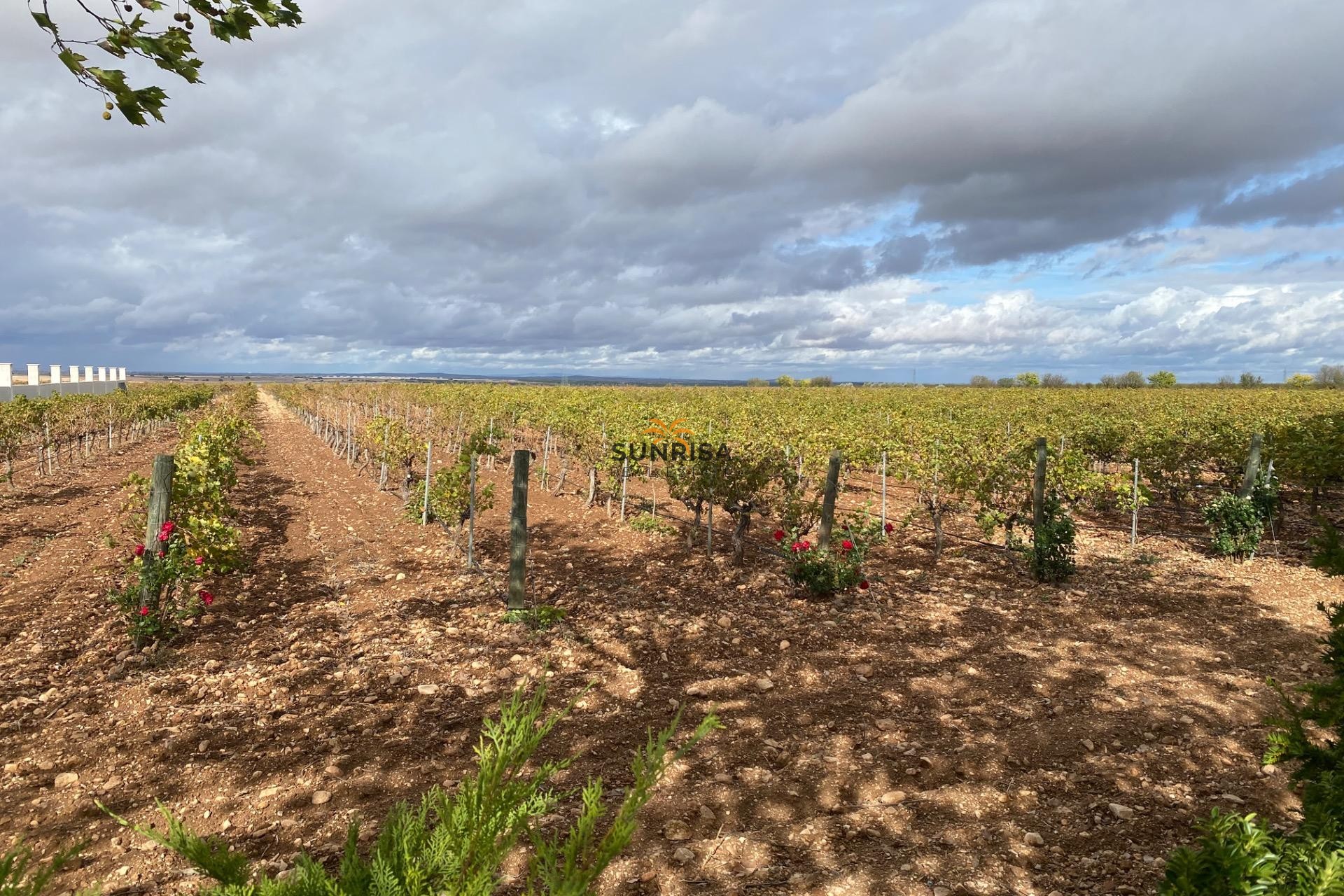 Revente - Autre - Albacete