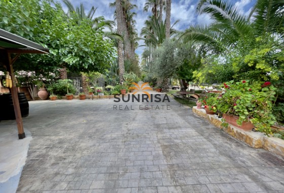 Finca · Reventa - Orihuela · Alicante · España