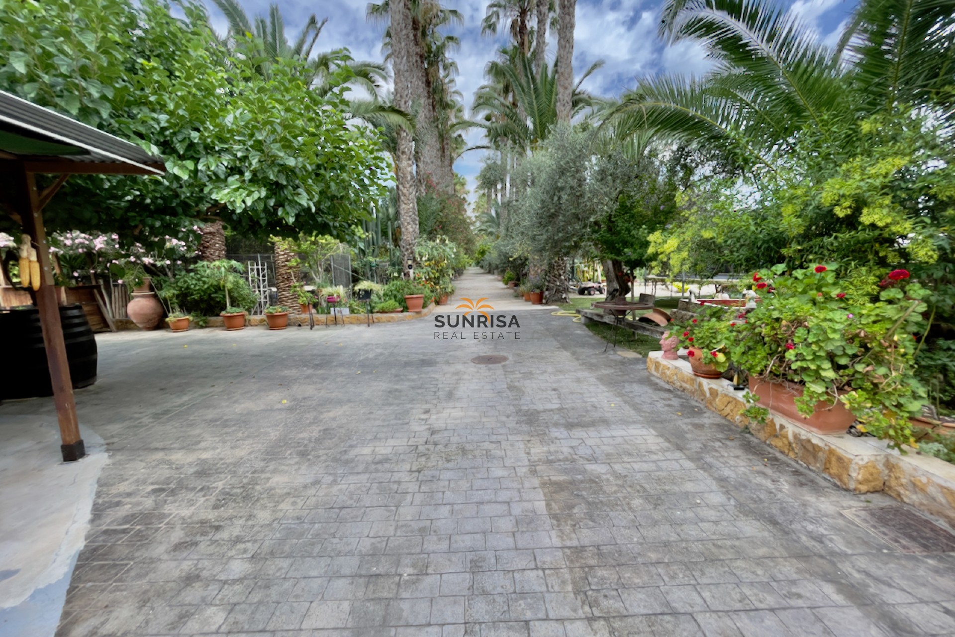 Reventa - Finca - Orihuela