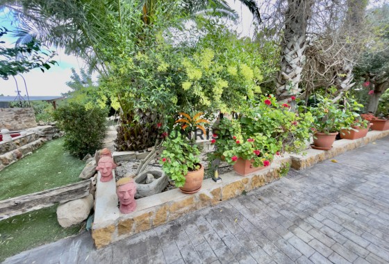 Finca · Reventa - Orihuela · Alicante · España
