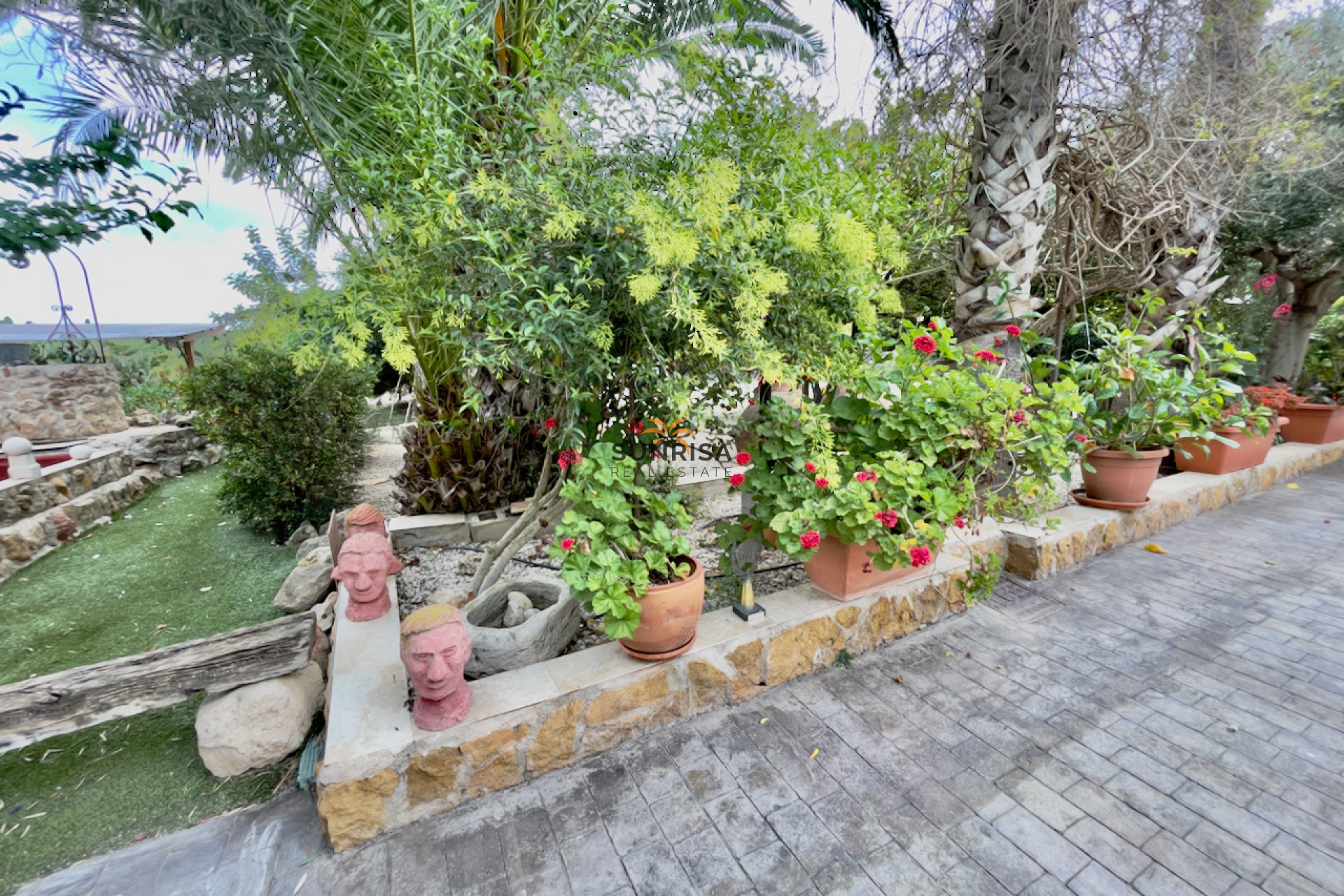Reventa - Finca - Orihuela