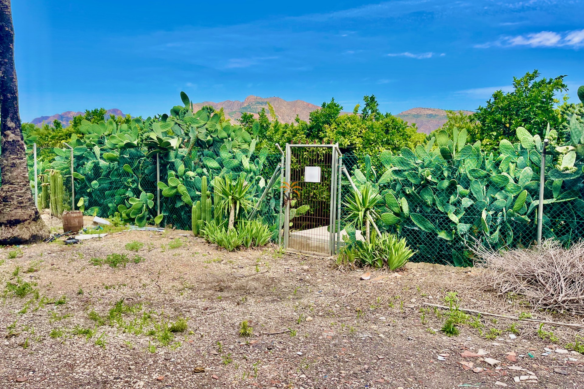 Reventa - Finca - Orihuela
