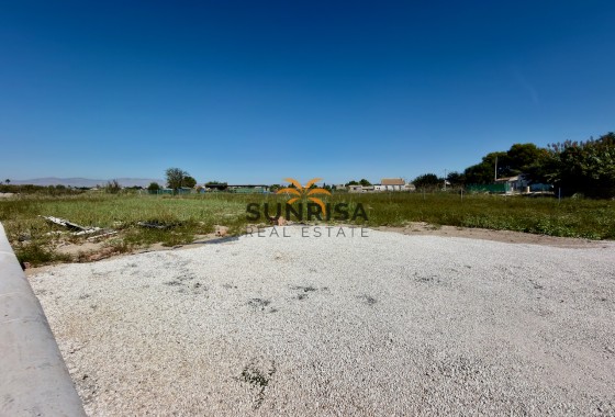 Finca · Revente - Dolores · Alicante · Espagne