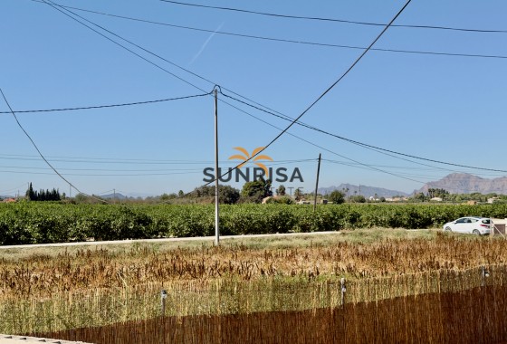 Finca · Revente - Dolores · Alicante · Espagne