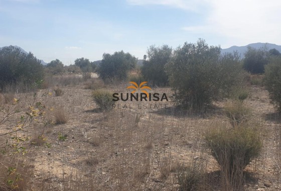 Land · Resale - Benferri · Alicante · Spain