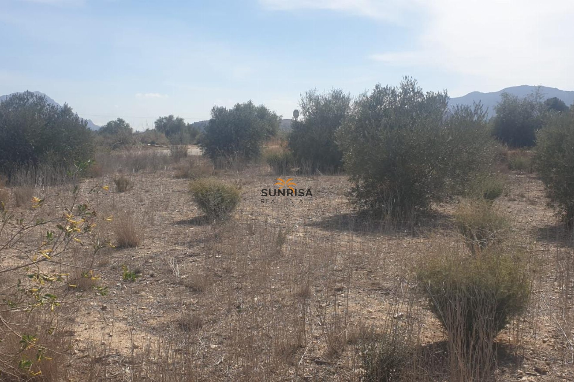 Reventa - Terreno - Benferri