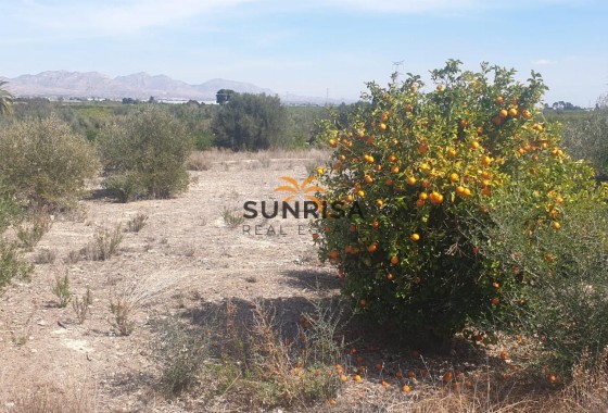 Land · Resale - Benferri · Alicante · Spain