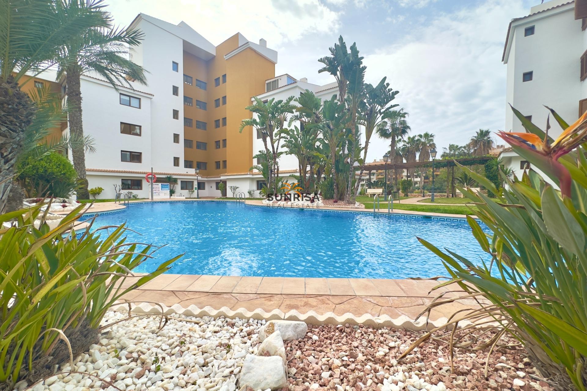 Reventa - Apartamento - Torrevieja