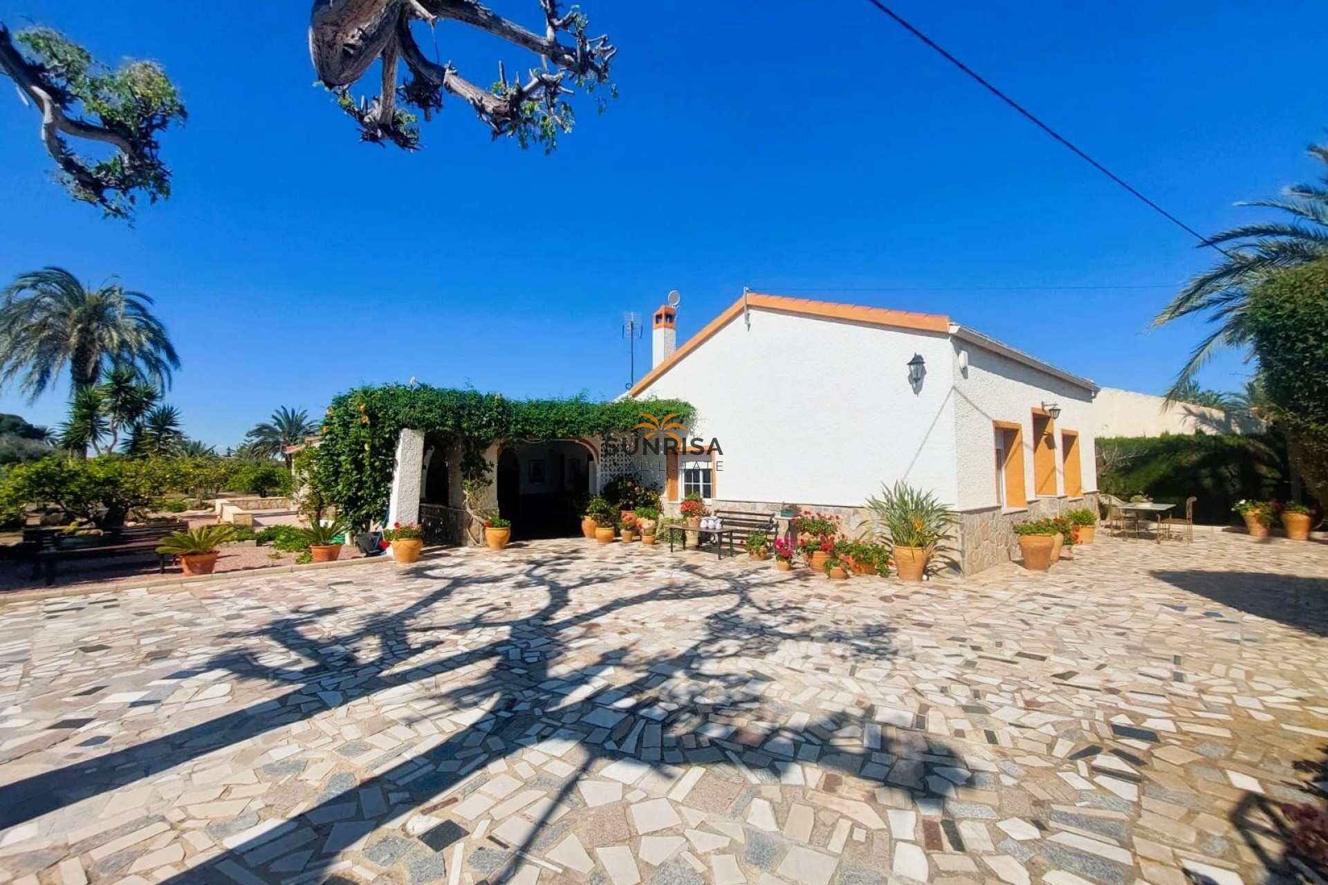 Resale - Finca - La Marina