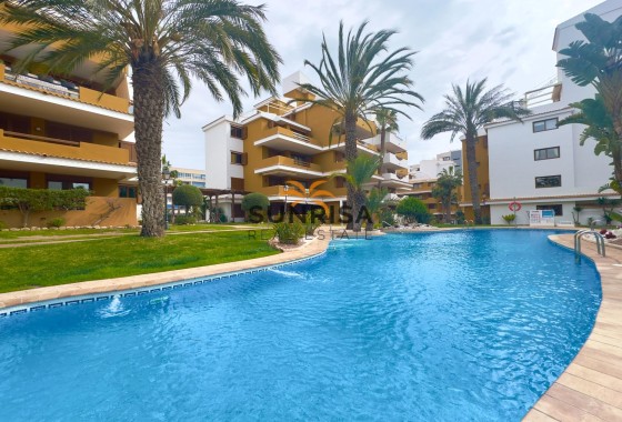 Apartamento · Reventa - Torrevieja · Punta Prima · Alicante · España