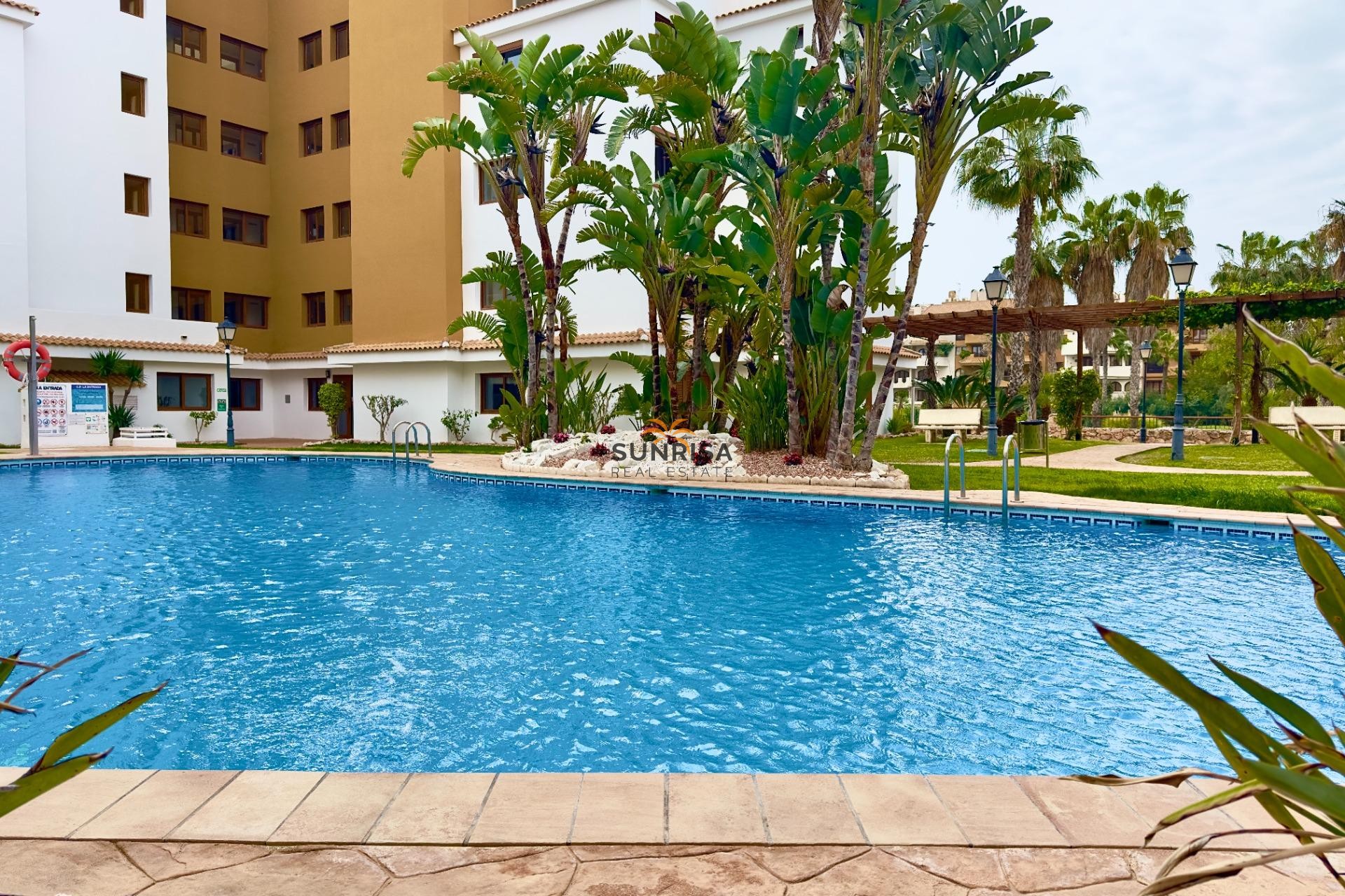 Reventa - Apartamento - Torrevieja