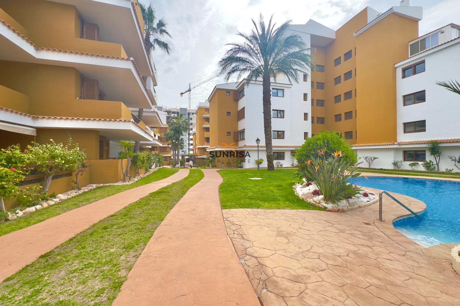 Reventa - Apartamento - Torrevieja