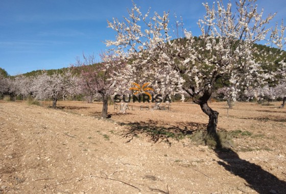 Country house · Resale - Bullas · Murcia / Costa Calida · Spain
