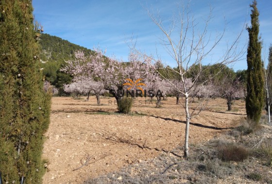 Country house · Resale - Bullas · Murcia / Costa Calida · Spain