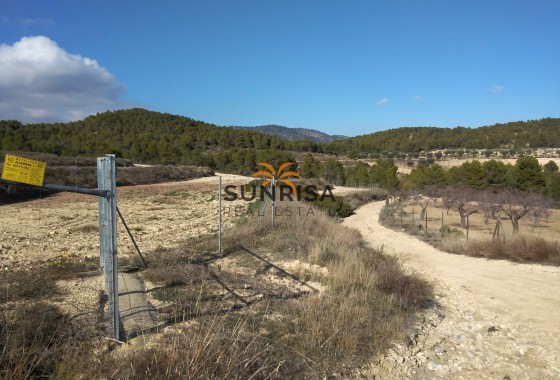 Country house · Resale - Bullas · Murcia / Costa Calida · Spain