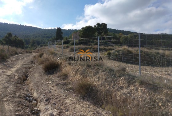 Country house · Resale - Bullas · Murcia / Costa Calida · Spain