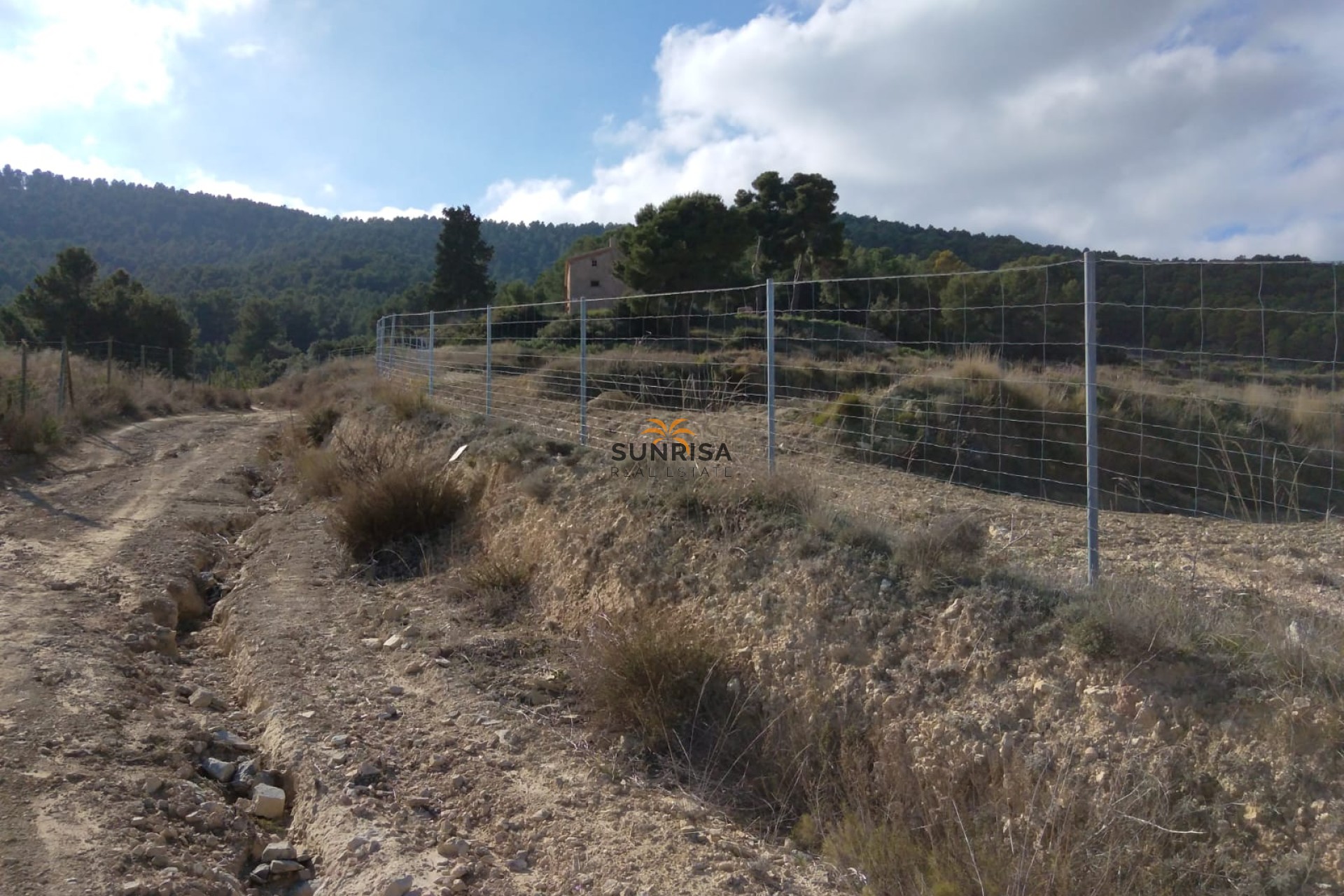 Resale - Country house - Bullas