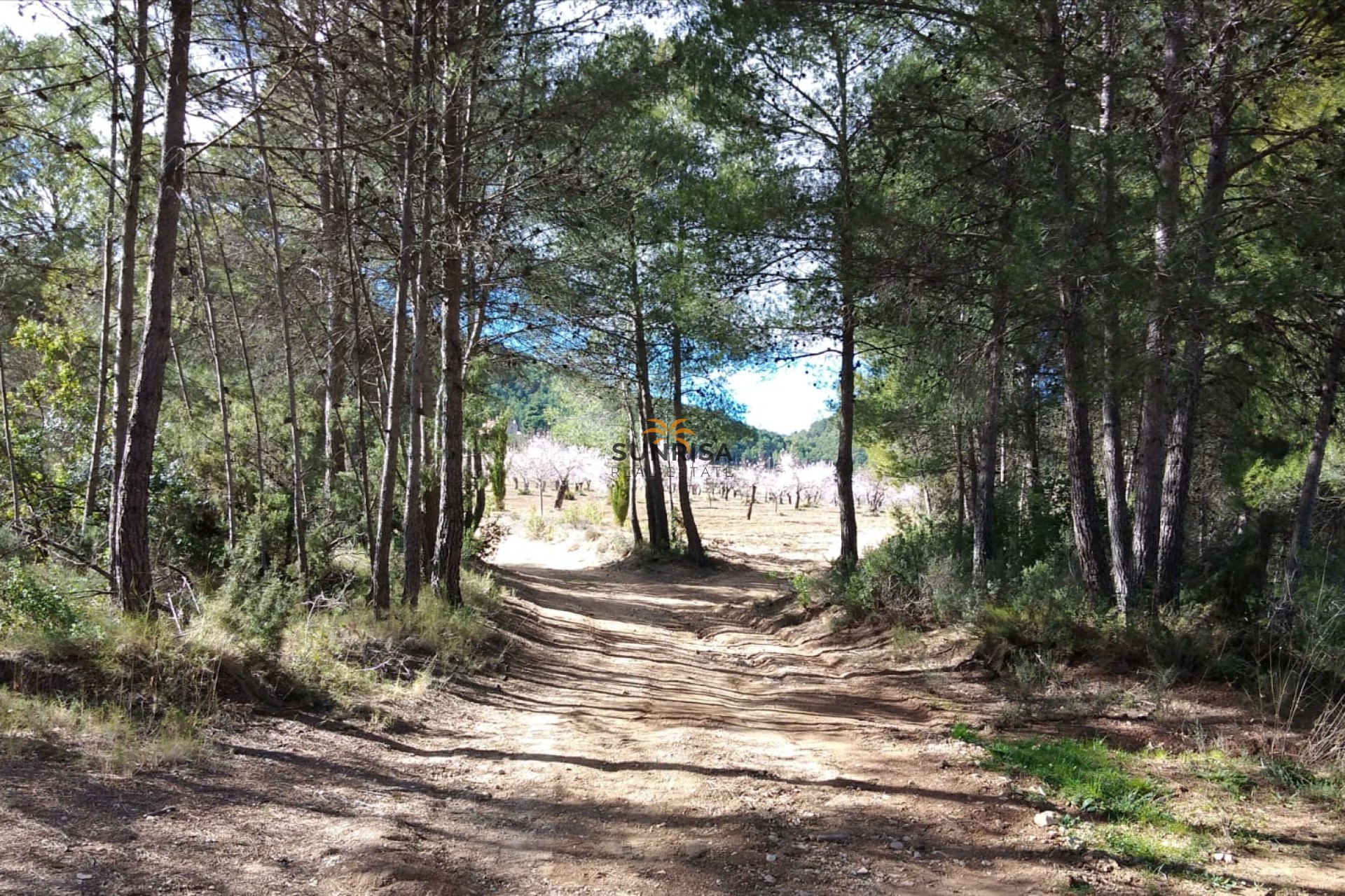 Resale - Country house - Bullas
