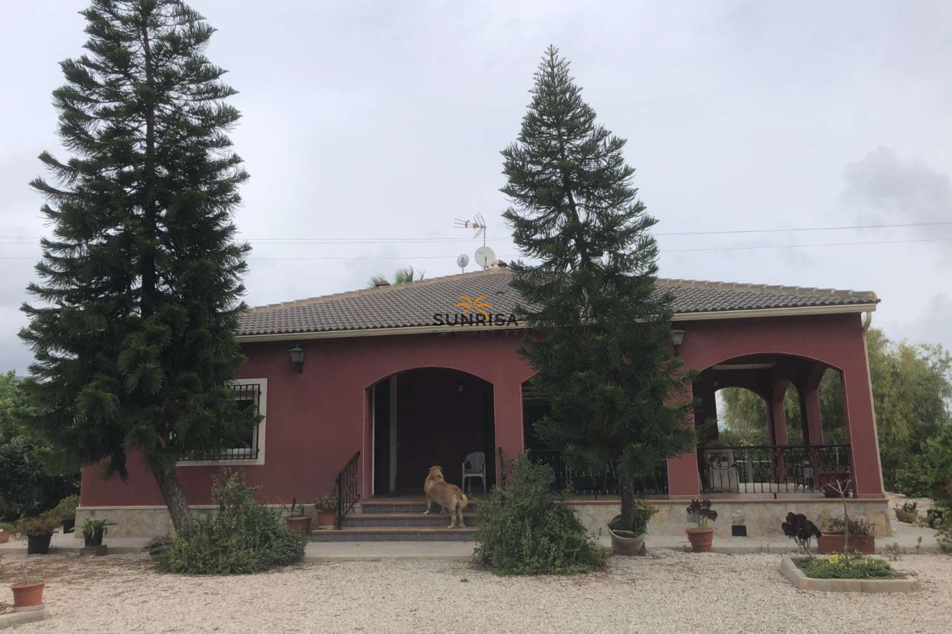 Resale - Country house - Callosa de Segura