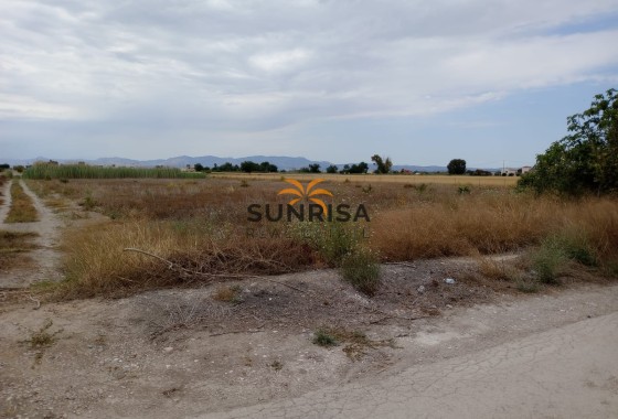 Land · Resale - San Fulgencio · Alicante · Spain