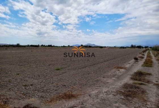 Land · Resale - San Fulgencio · Alicante · Spain