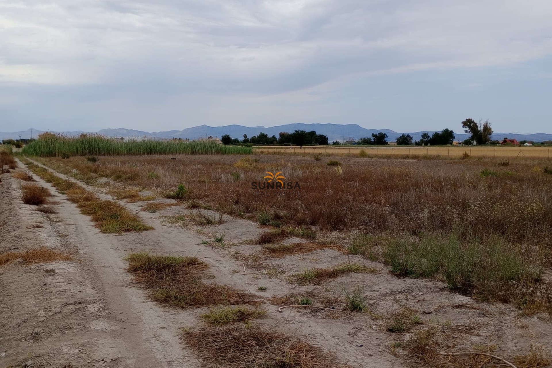 Resale - Land - San Fulgencio