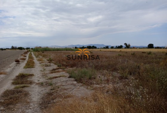 Land · Resale - San Fulgencio · Alicante · Spain