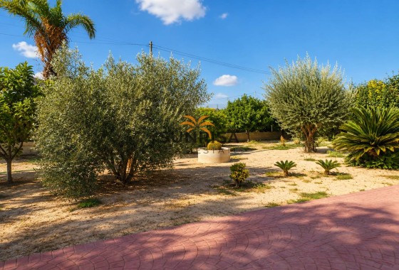 Villa · Reventa - Orihuela · Alicante · España