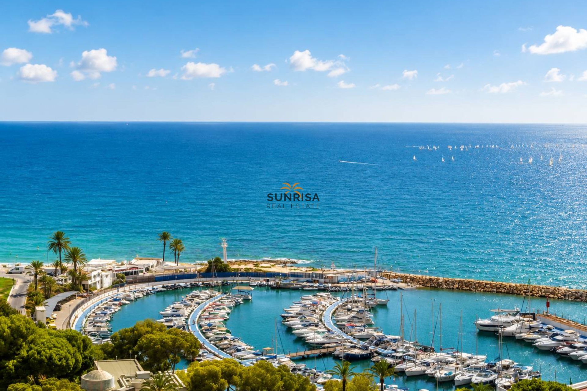 Reventa - Ático - Orihuela