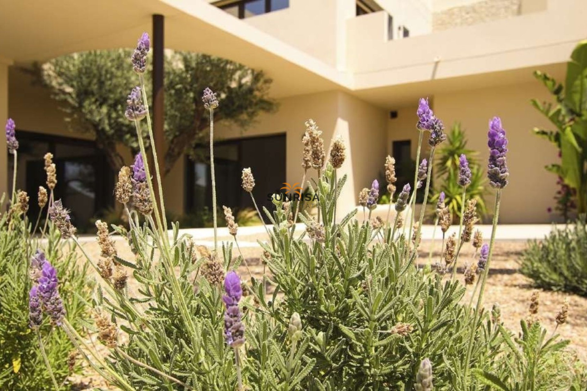 Nieuwbouwwoningen - Villa - La Marina