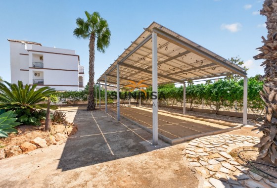 Apartment · Resale - Punta Prima · Alicante · Spain