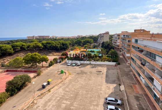 Studio · Revente - Guardamar del Segura · Lomas de Polo-Pinomar · Alicante · Espagne