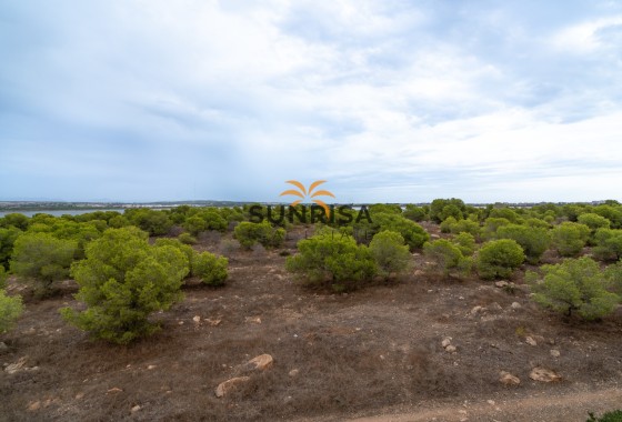 Appartement · Herverkoop - Torrevieja · La Siesta - El Salado - Torreta · Alicante · Spanje